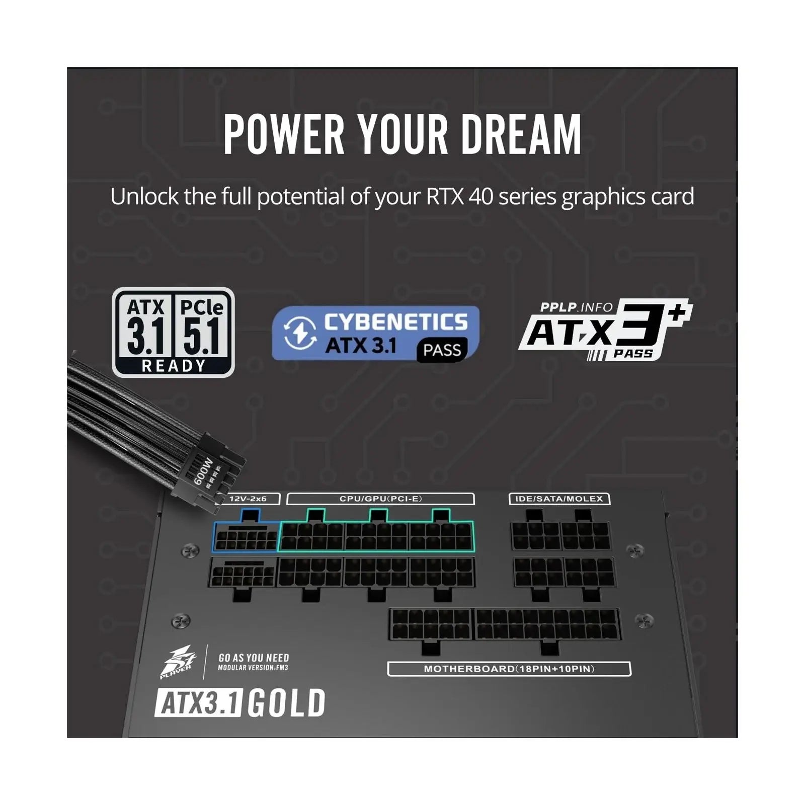 1st Player NGDP 850W 80 Plus Gold Fully Modular PSU