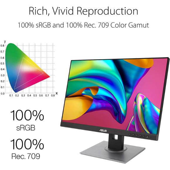 ASUS ProArt Display PA248QV 24.1” WUXGA (1920 x 1200) 16:10 Monitor - PakByte Computers