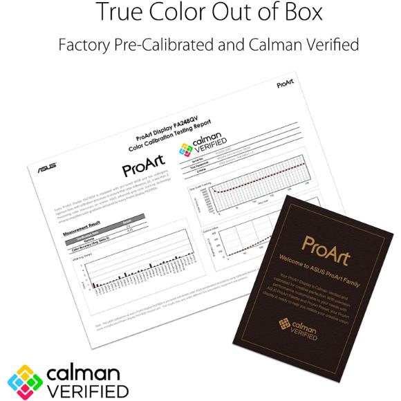 ASUS ProArt Display PA248QV 24.1” WUXGA (1920 x 1200) 16:10 Monitor - PakByte Computers