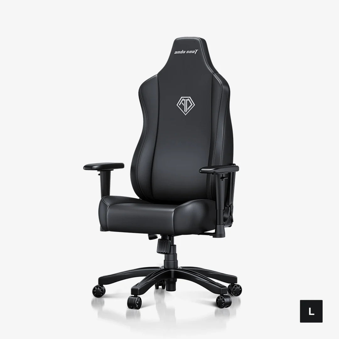 AndaSeat Novis L Series Gaming Chair - Elegant Black - PakByte Computers