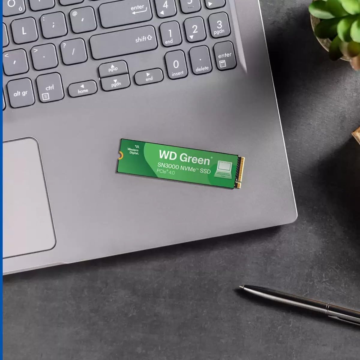 Western Digital WD Green SN3000 500GB Gen 4 NVMe - PakByte Computers