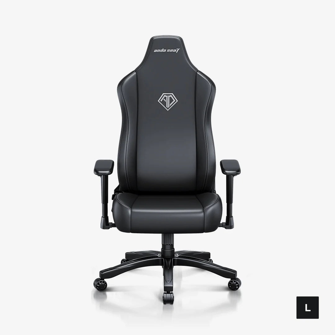 AndaSeat Novis L Series Gaming Chair - Elegant Black - PakByte Computers  