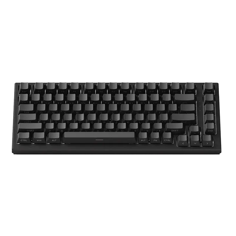 Akko TAC75 HE Rapid Trigger Wired Mechanical Gaming Keyboard - Black