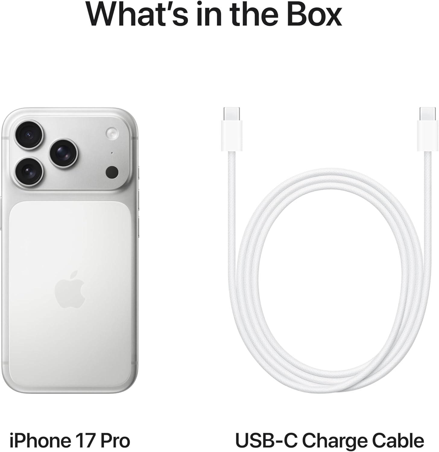iPhone 17 Pro 256 GB (eSIM only) Silver 5G With FaceTime - International Version